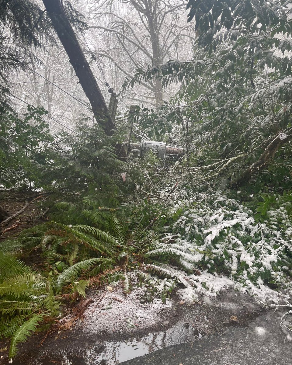 Puget Sound Energy tweet media