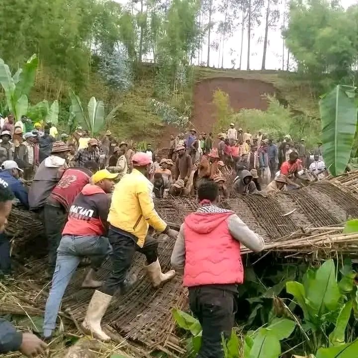 Dr. Oumer H. Oba (Ambassador) tweet media