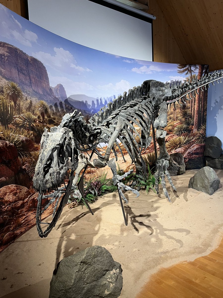 mark17849532's tweet photo. Simmering fossil museum https://t.co/cY2zglRlKl