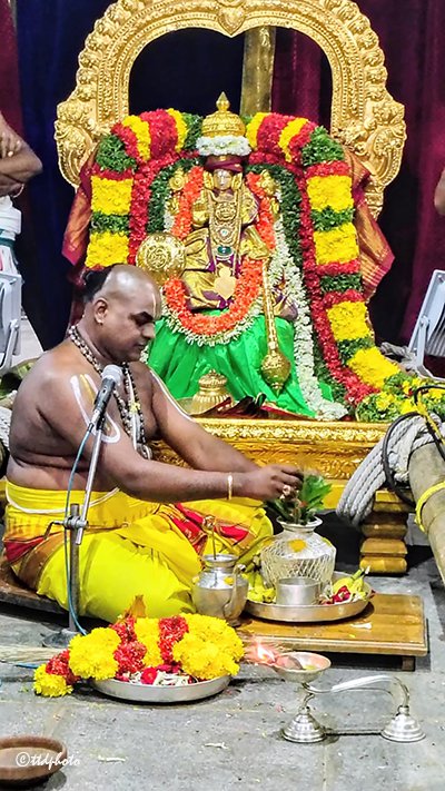 TTD Seva tweet media