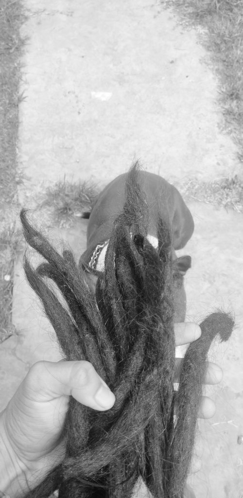 MateandoConNico's tweet photo. FIN de un ciclo que duró 7 años. Toda mi adolescencia y secundaria con Rastas, todas mis relaciones de amistad y amor con Rastas, todo lo que aprendí en el camino desde hace 7 años, hoy toca darles un descanso. https://t.co/bEHnEmCdCH