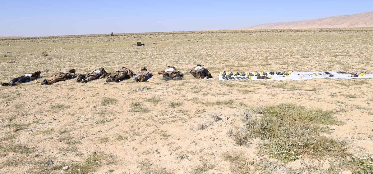 بوابة الجزائر - Algeria Gate tweet media