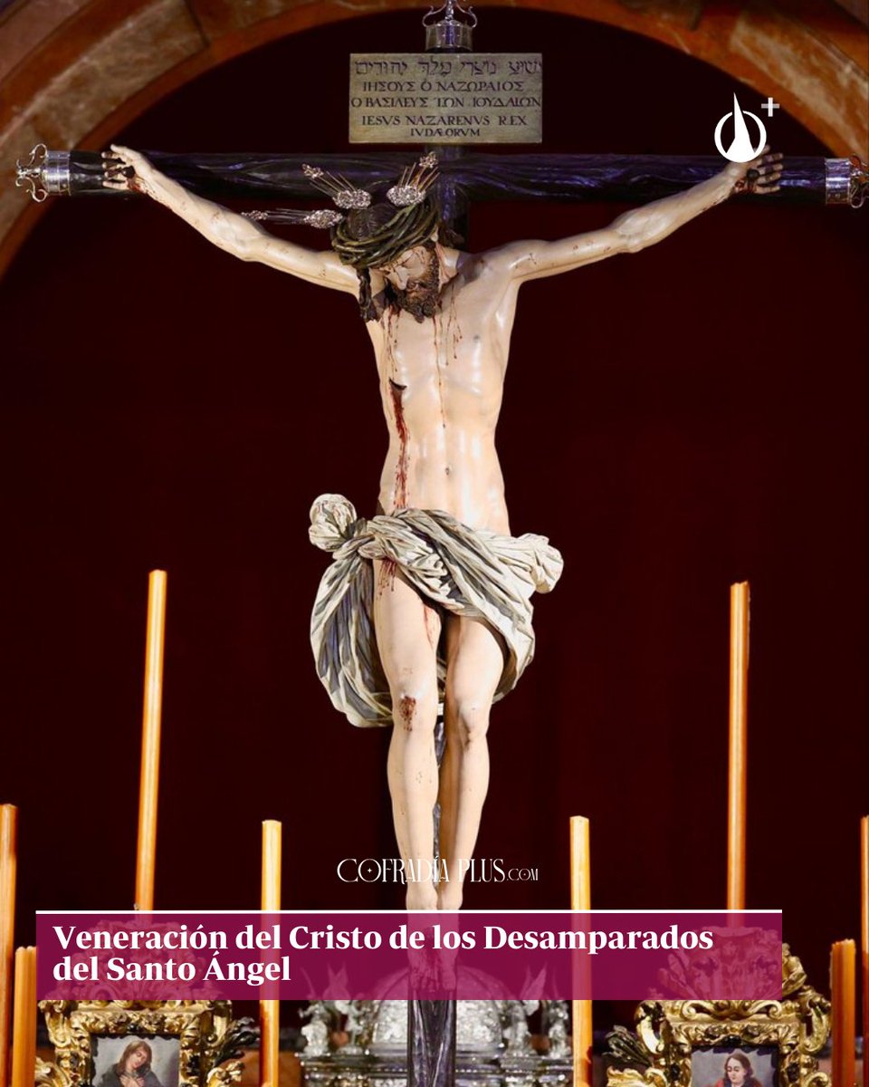 COFRADÍA + tweet media