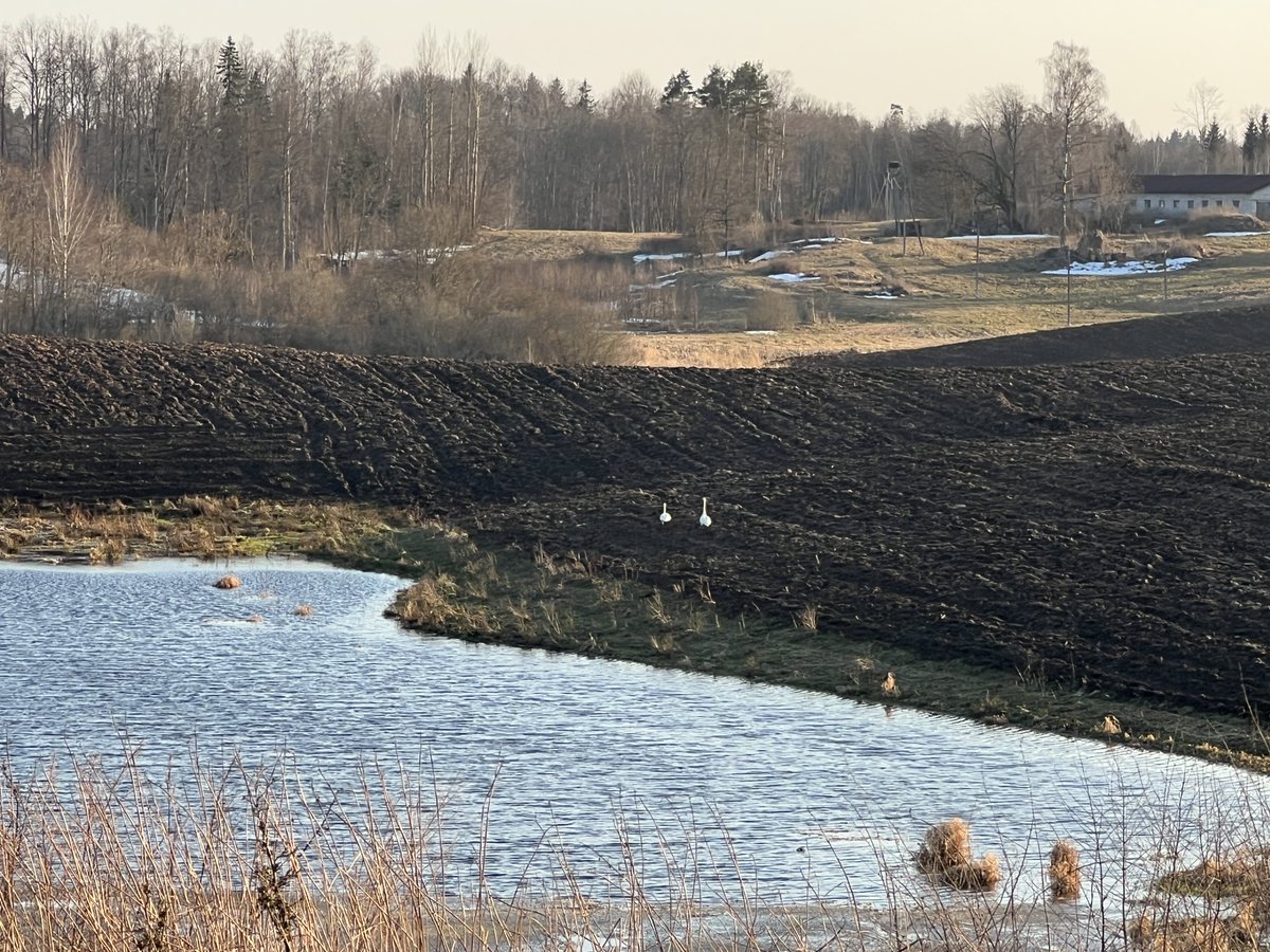 Gatis Krūmiņš tweet media