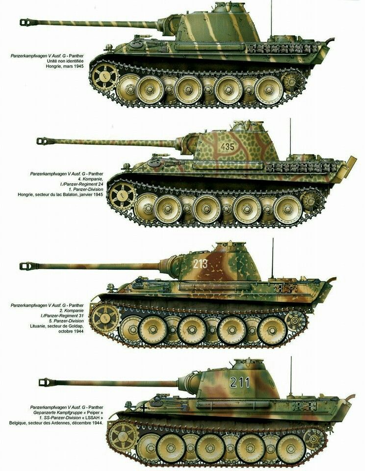 DulceBellum1944's tweet image. #Panther