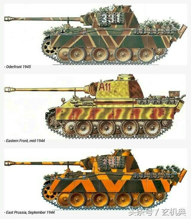 DulceBellum1944's tweet image. #Panther