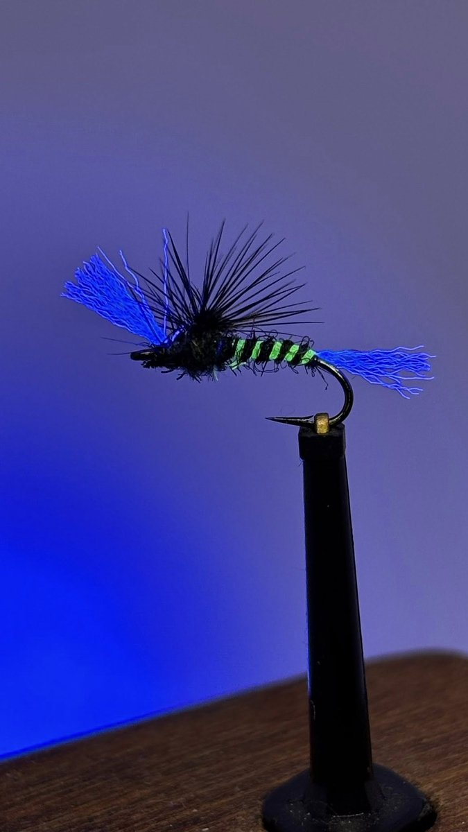 Semperfli Fly Tying tweet media