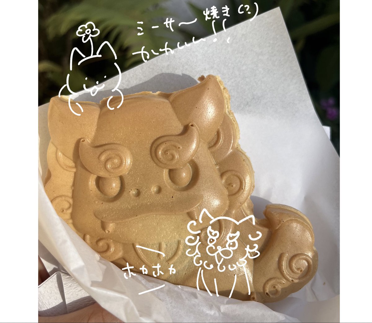 スドウショウ tweet media