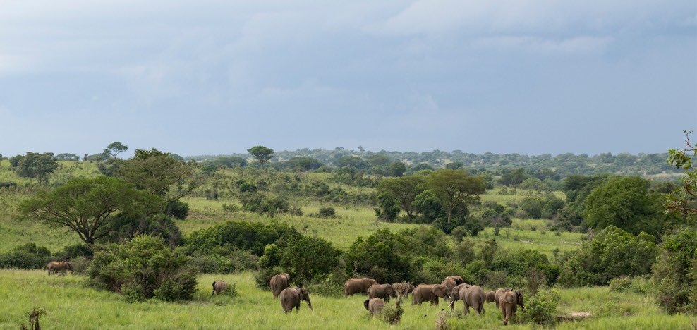 James_TheFORESTER🌱 tweet media