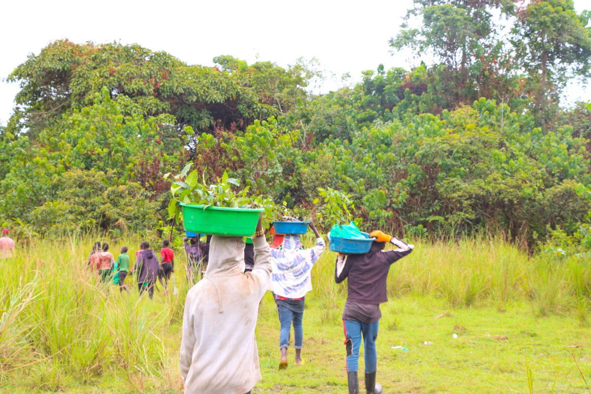 James_TheFORESTER🌱 tweet media