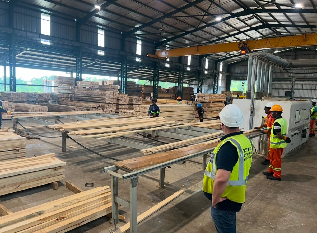 James_TheFORESTER🌱 tweet media