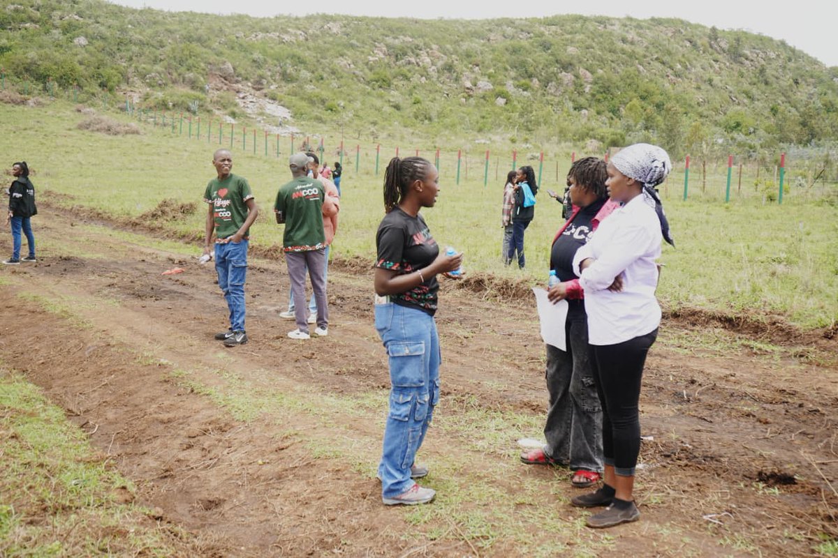 AmccoProperties's tweet image. Tuko site at Faraja Gardens🥰😊
 
Plots available.Future loading.

Secure yours today. Call/ WhatsApp on 0701293199

#amccoproperties #launch #plotsforsale