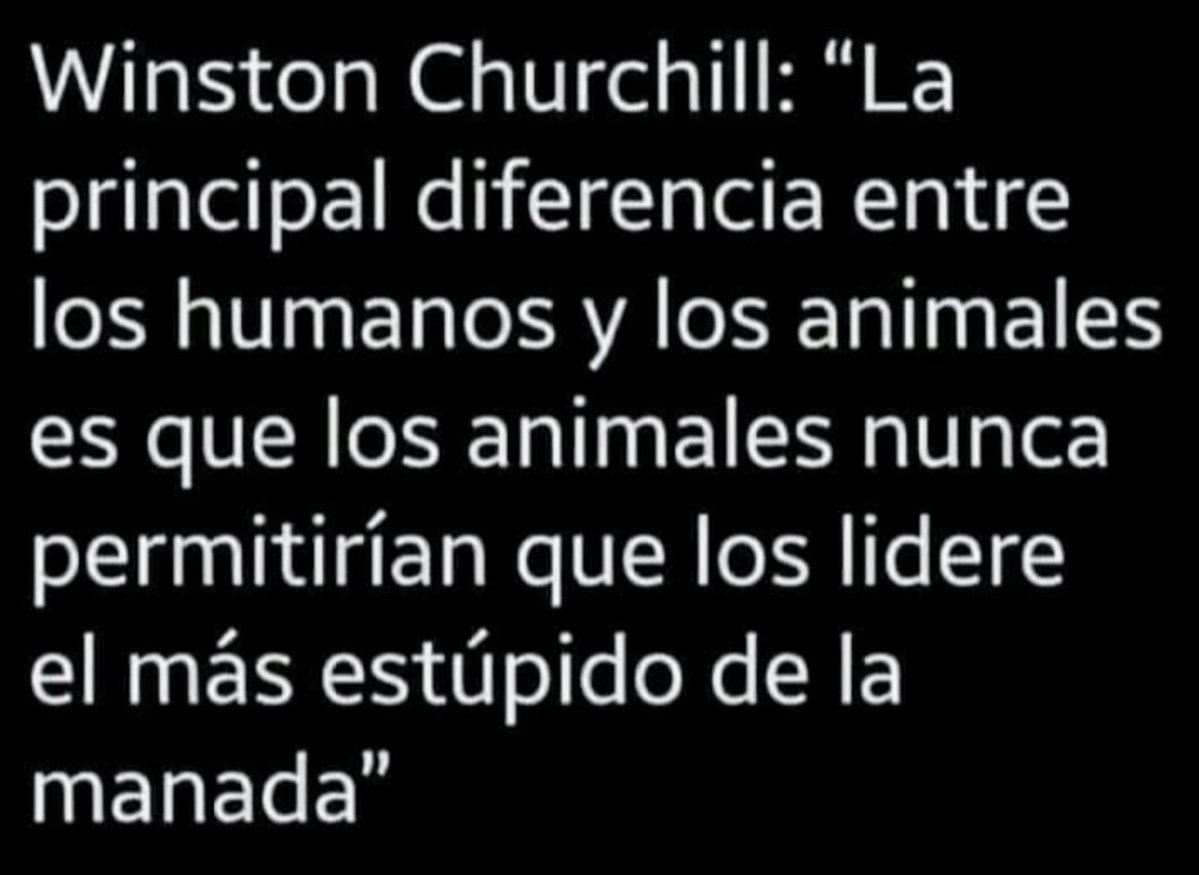 Ernesto P. Amendolara tweet media