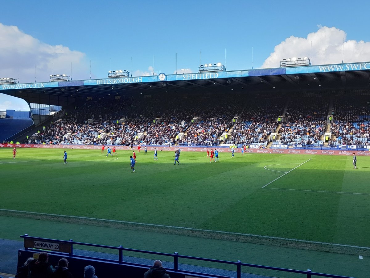 David Ward tweet media