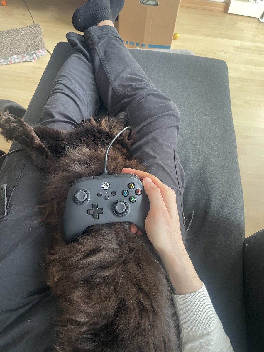 Programando en Java tweet media