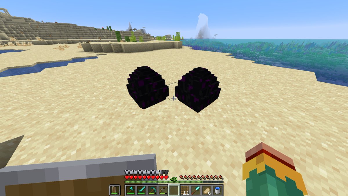 True【マイクラ】 tweet media