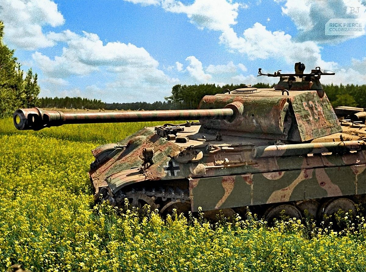 DulceBellum1944's tweet image. #Panther