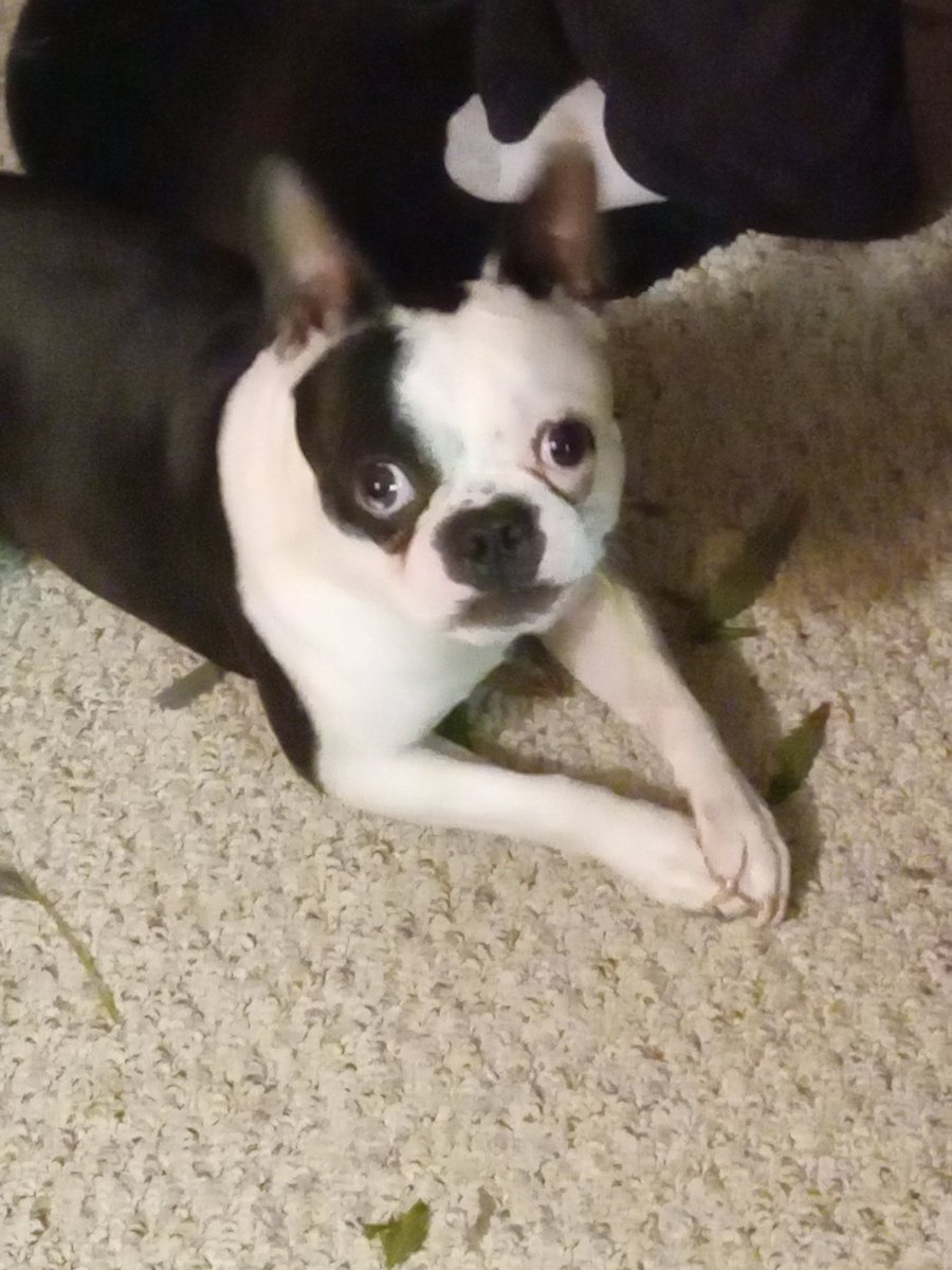 Tyson King tweet media