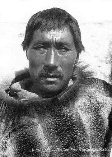 American Literature tweet media