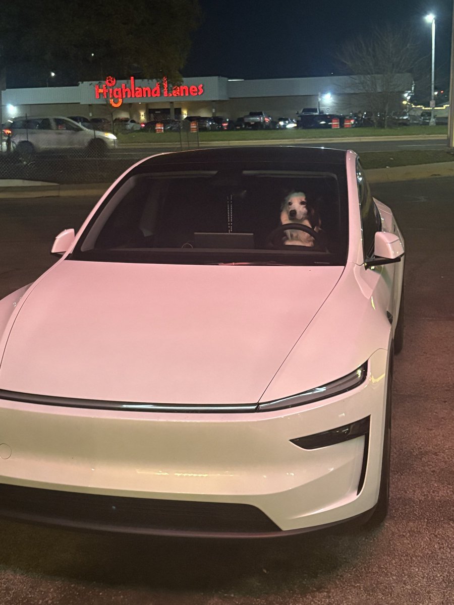 evan, ostensibly tweet media