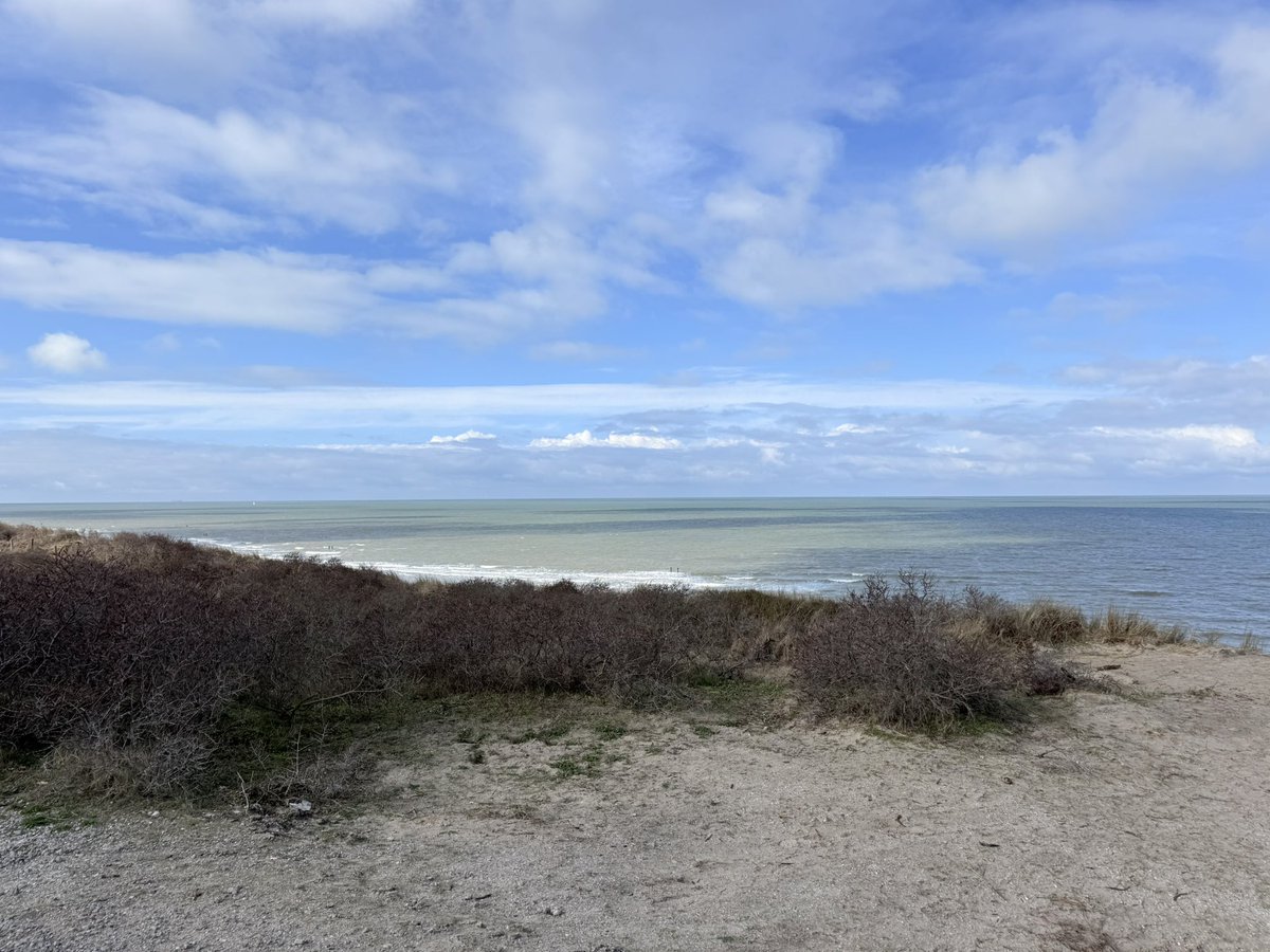 Edith van Montfort tweet media