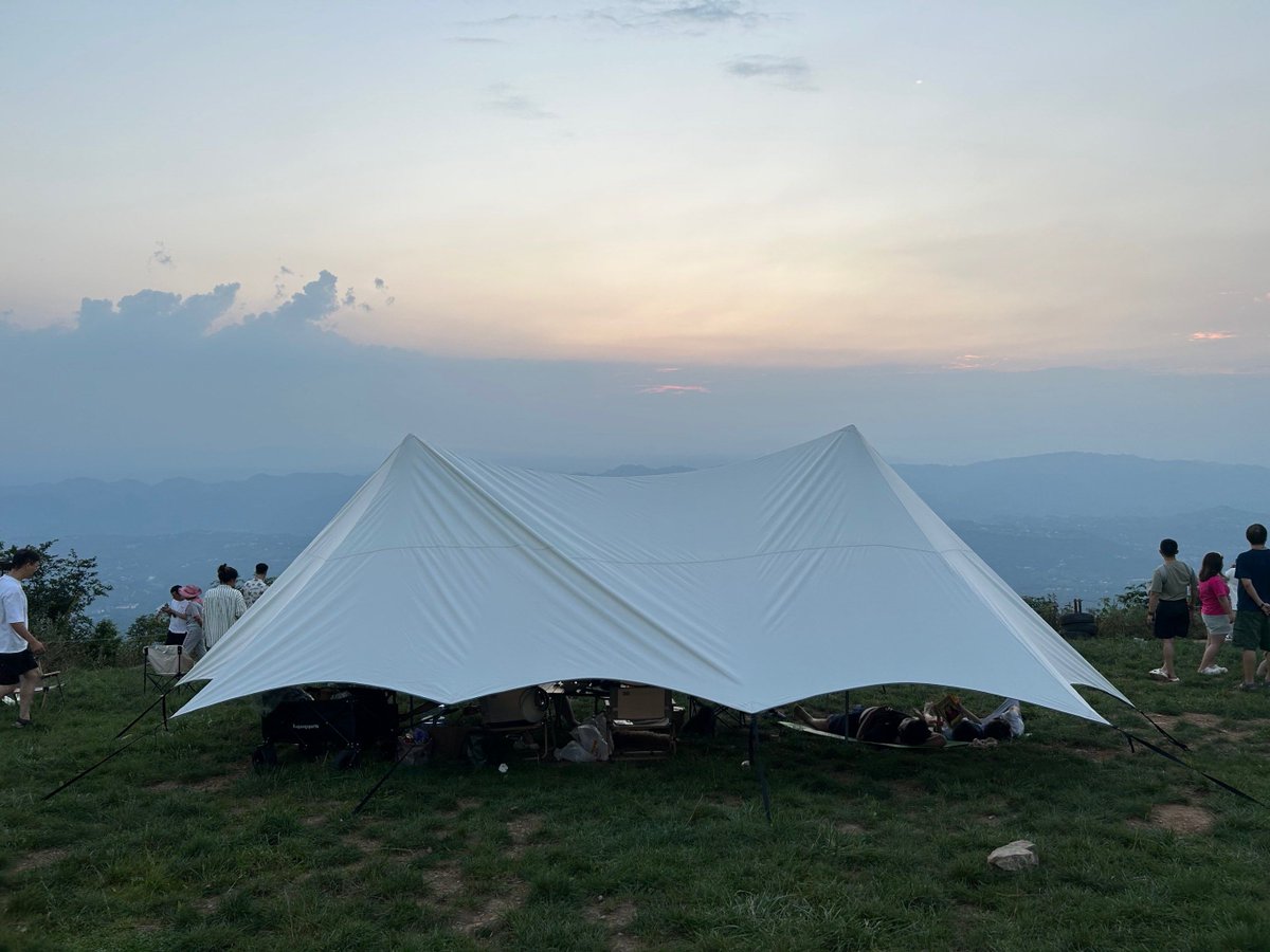 Transaction- Advisor. tweet media