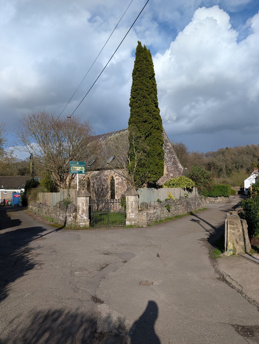 David 🔥 tweet media