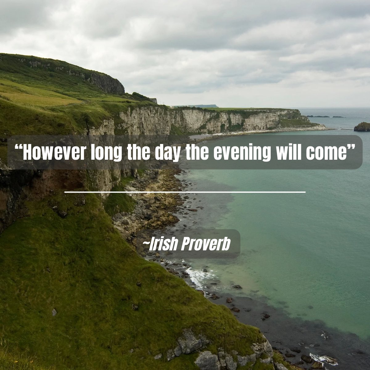 Port X Logistics tweet media