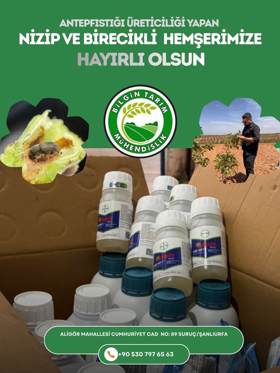 bilgin_tarim's tweet photo. Antepfıstığı bahçelerinde, profesyonel ve içeriği zengin bitki aktivatörü uygulama önerimizi yapıp, üreticilerimize şimdiden temin ettik.
#Birecik ve #Nizip’ten gelen kıymetli üreticilerimize teşekkür ederiz 🚜

#Suruç #bozova #Şanlıurfa https://t.co/dBCt7dxu0v