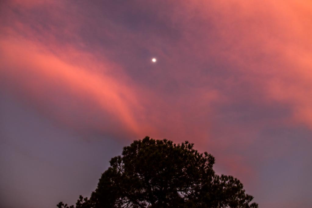 Iram Ortega 👁 tweet media