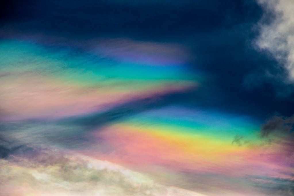 Iram Ortega 👁 tweet media