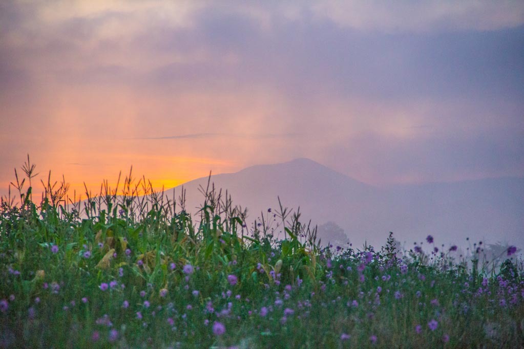 Iram Ortega 👁 tweet media