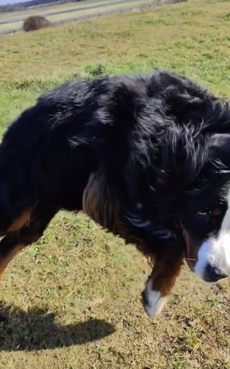 Brie's World 🌍🇬🇧🇨🇭 tweet media