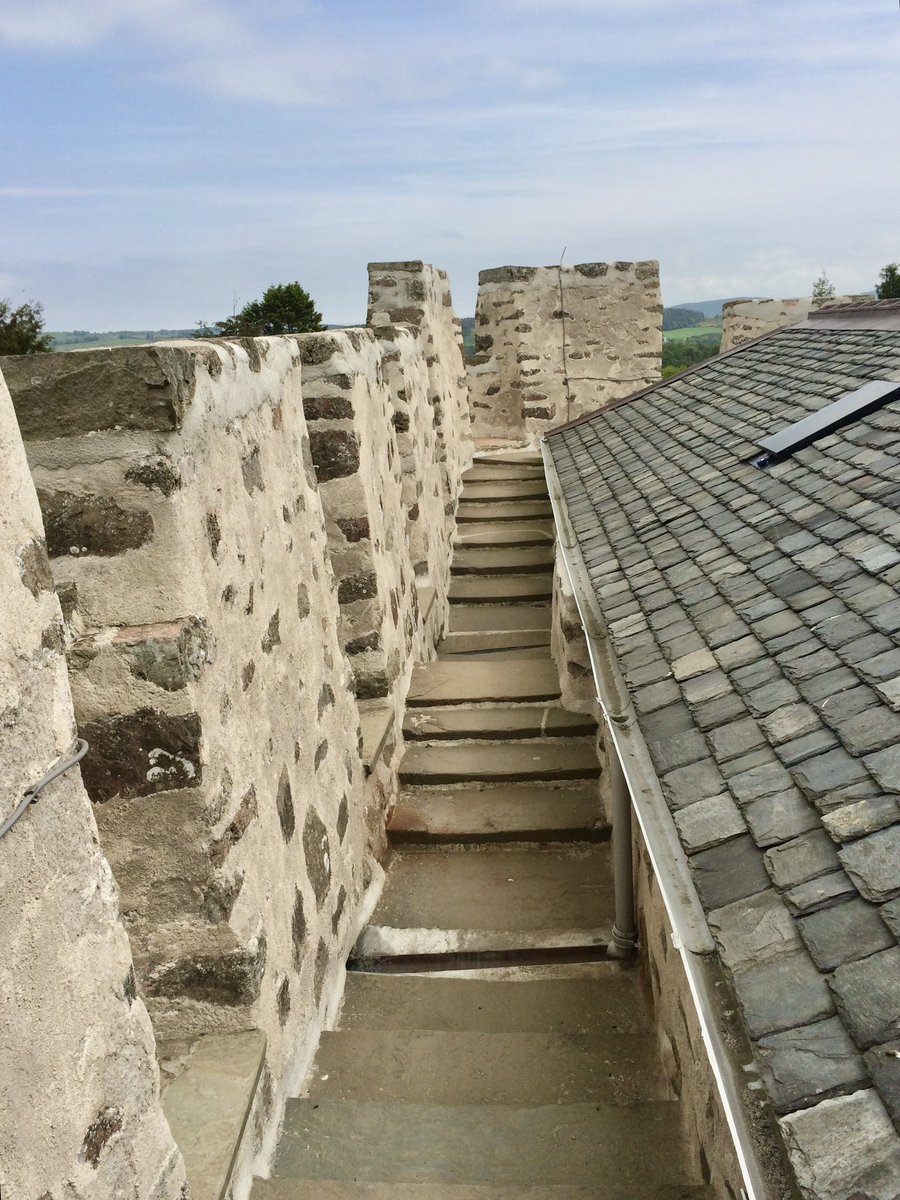 Ailish Sinclair tweet media