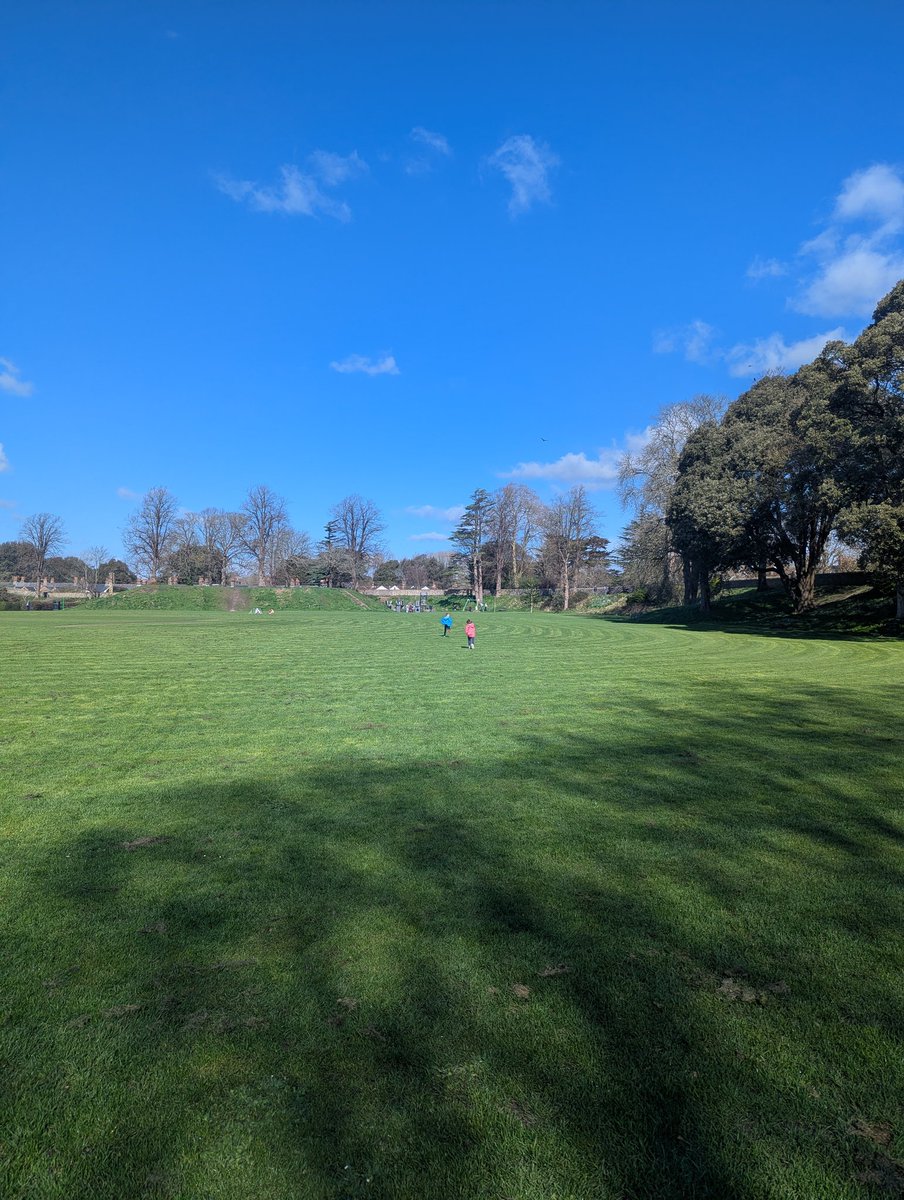 Create Action (Alan) ๐ฏ tweet media