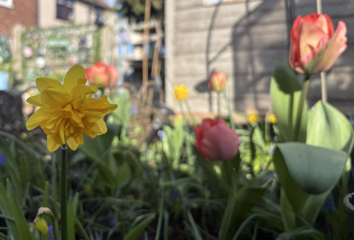 Harriet Spoor tweet media