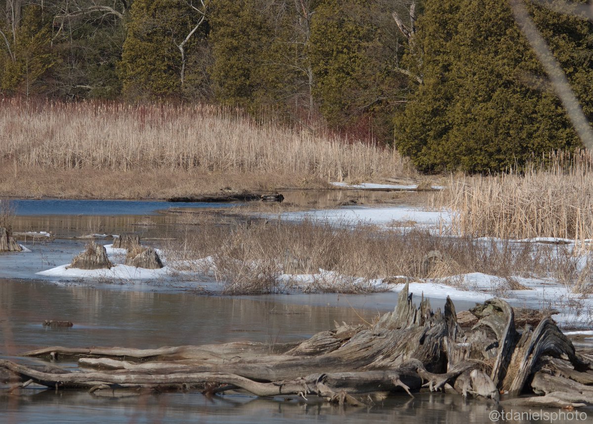 Terry Hlywka tweet media