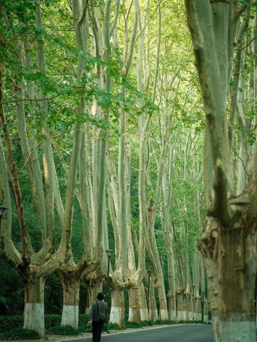 seth sarager tweet media