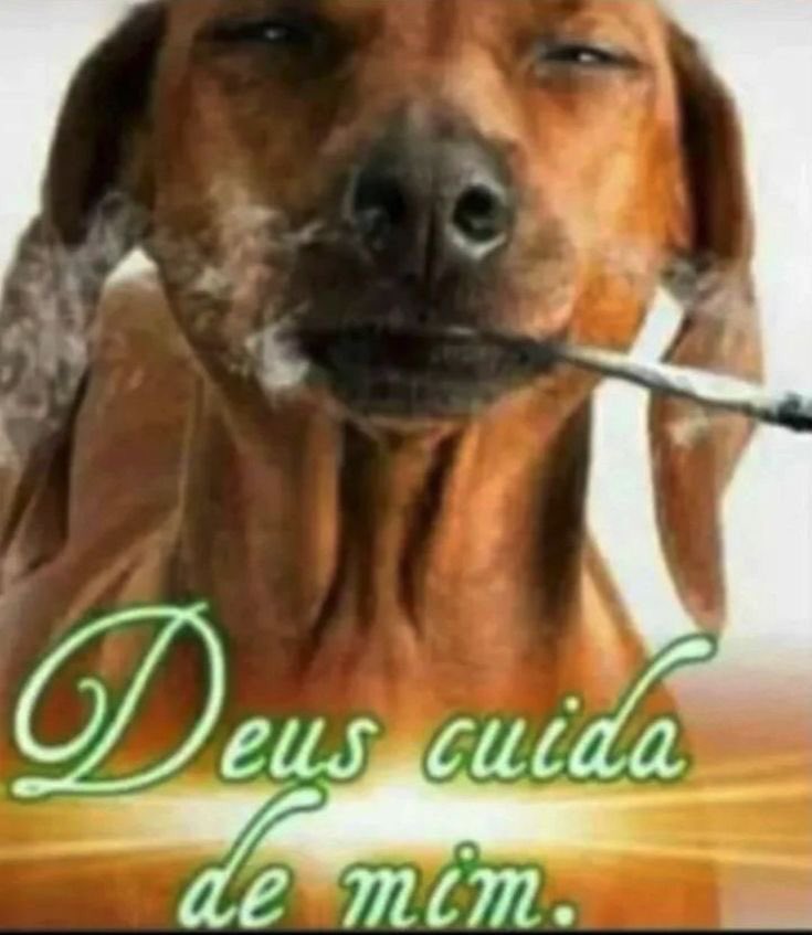 tudo passa