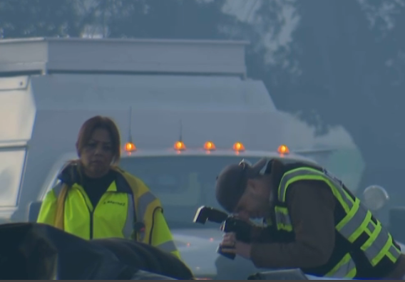 John Zuchelli tweet media