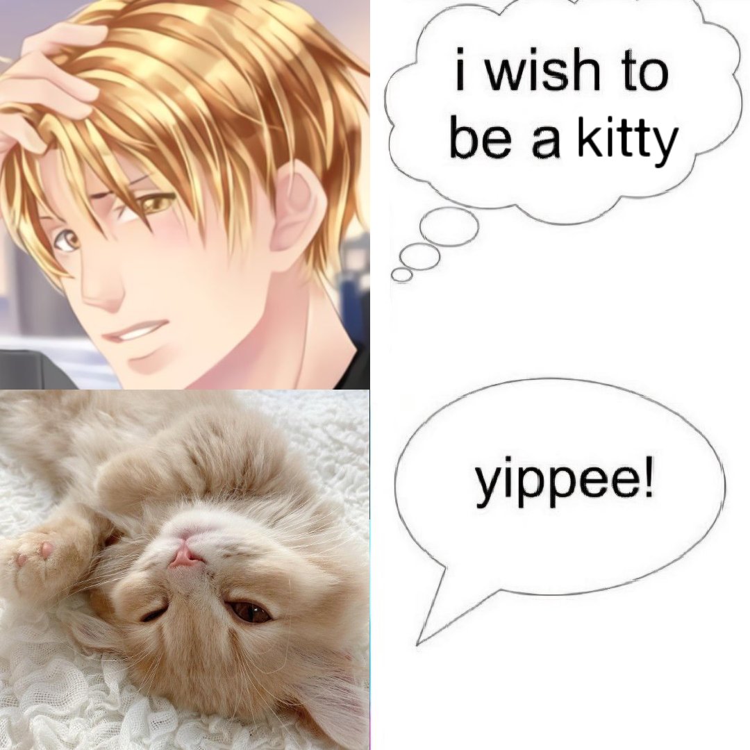 ✨Didi✨ tweet media