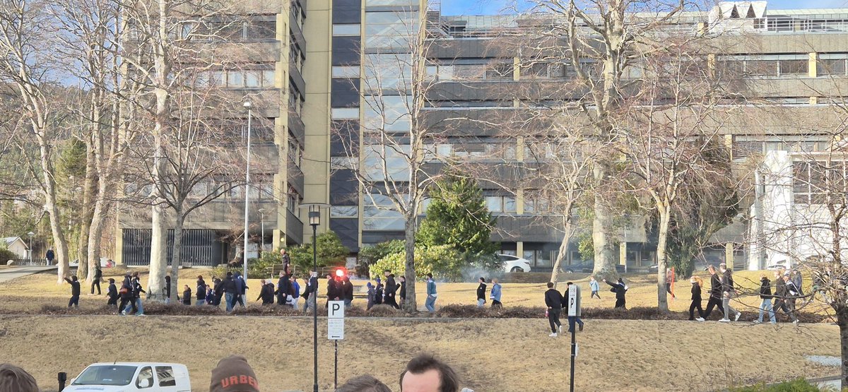 Kristoffer tweet media