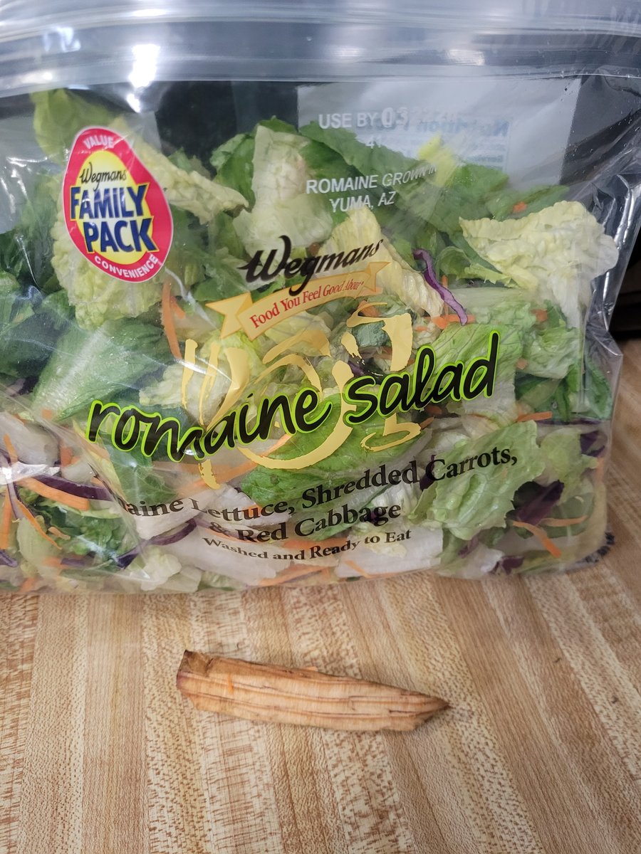 Jayson Canfield tweet media