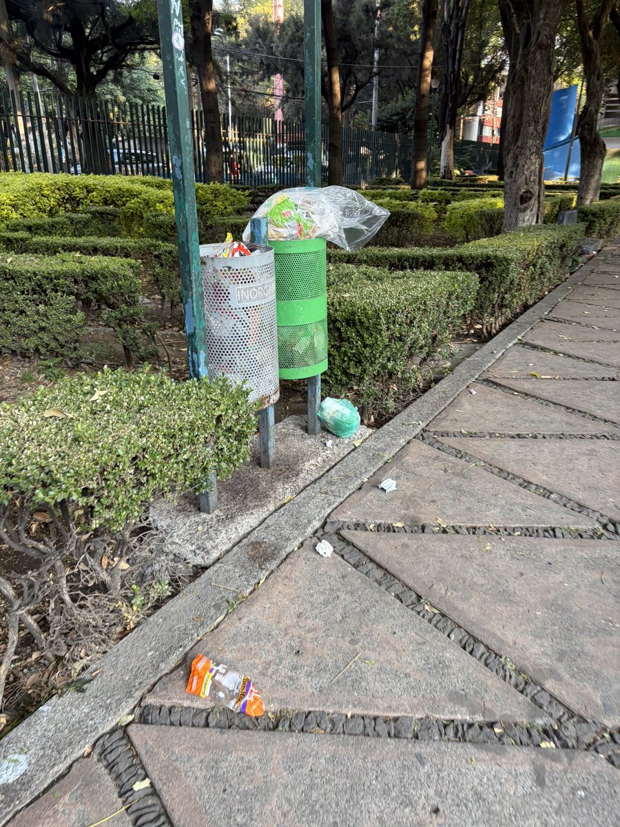 Reportandocdmx👀 tweet media