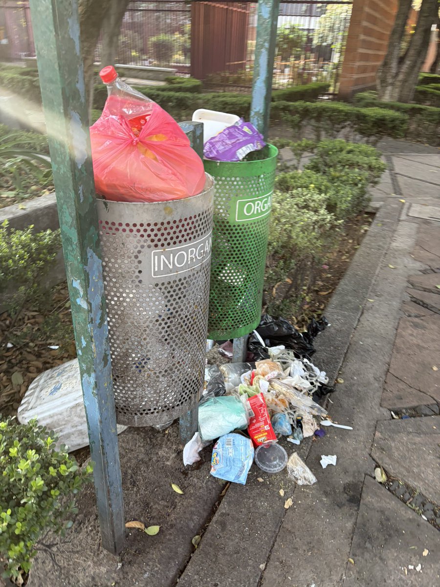 Reportandocdmx👀 tweet media