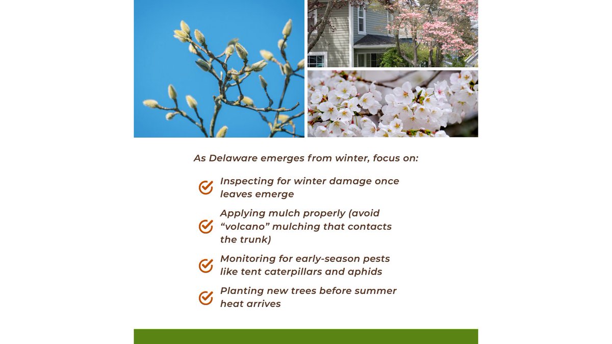 Stein Tree Service tweet media