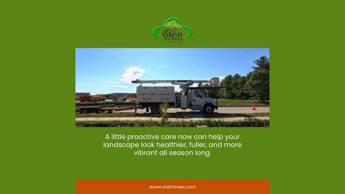 Stein Tree Service tweet media