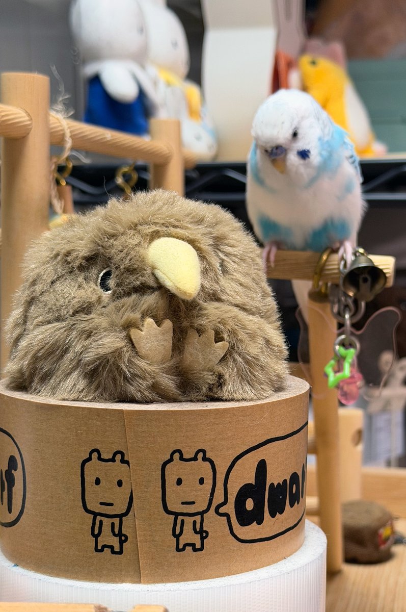 カンコ🐣2/12ゆりぱに2️⃣巻発売🐤 tweet media