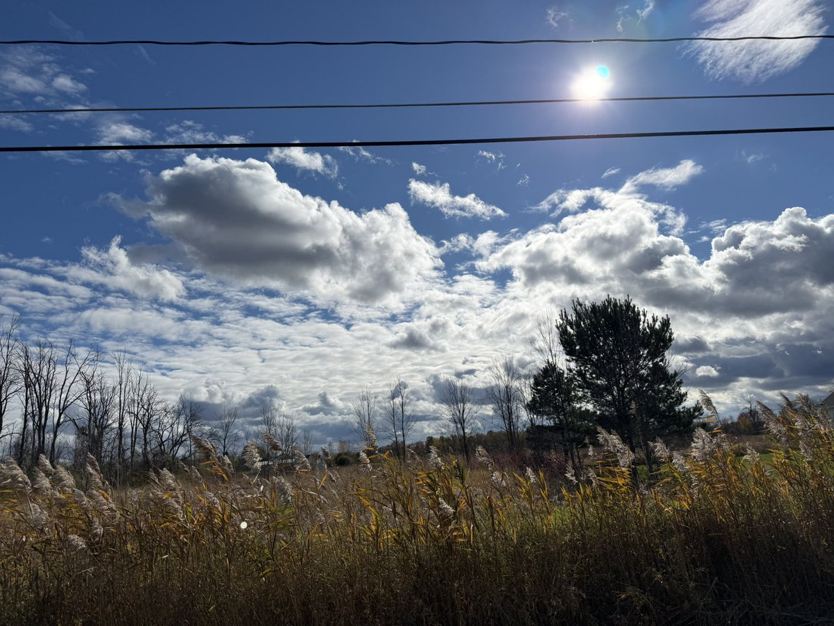 bitch lasagna tweet media