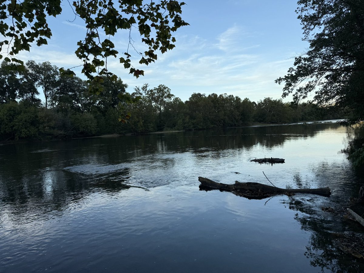 bitch lasagna tweet media